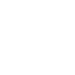 Sentinel icon